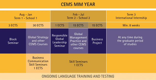 CEMS MIM YEAR