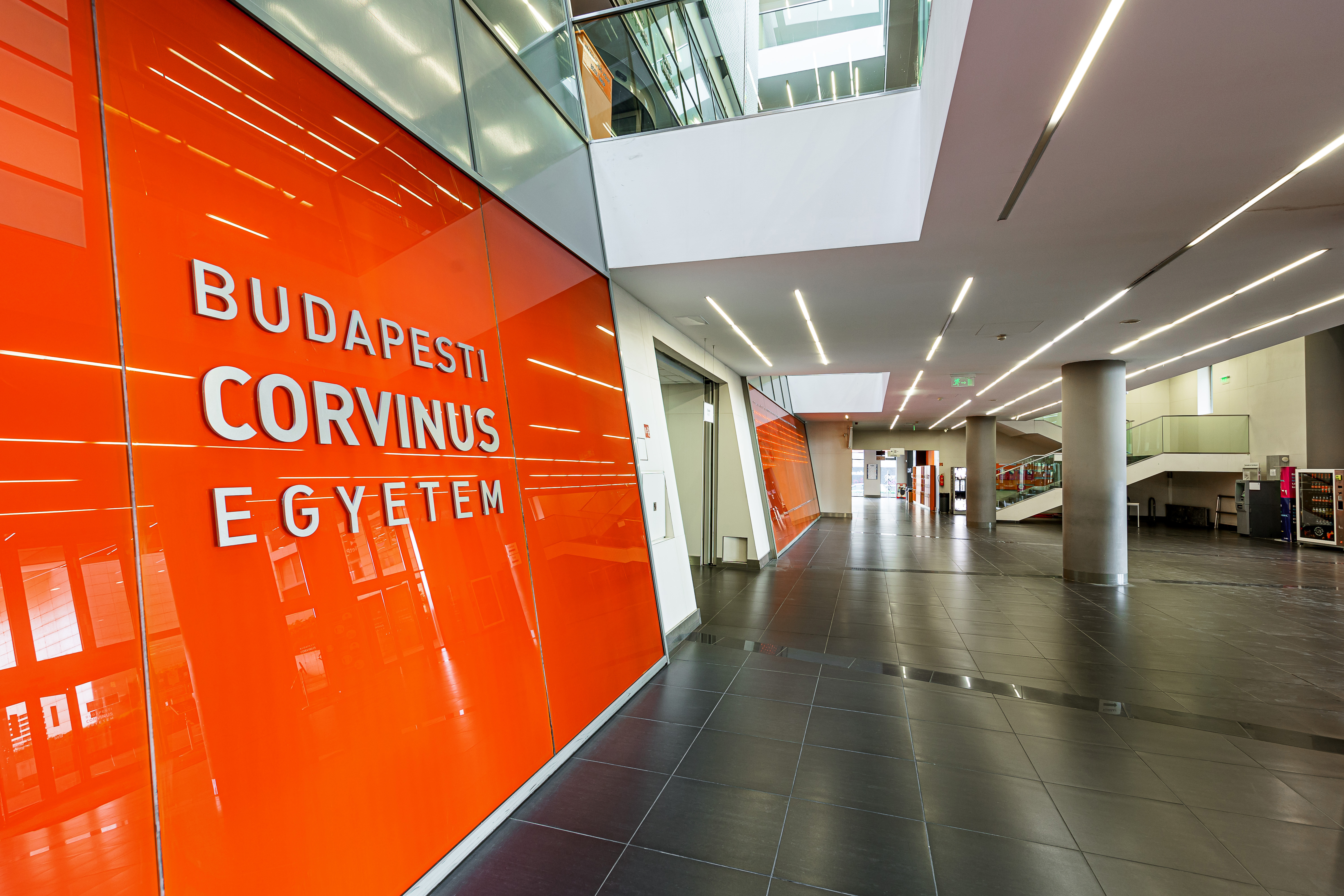 Corvinus Institute for Advanced Studies