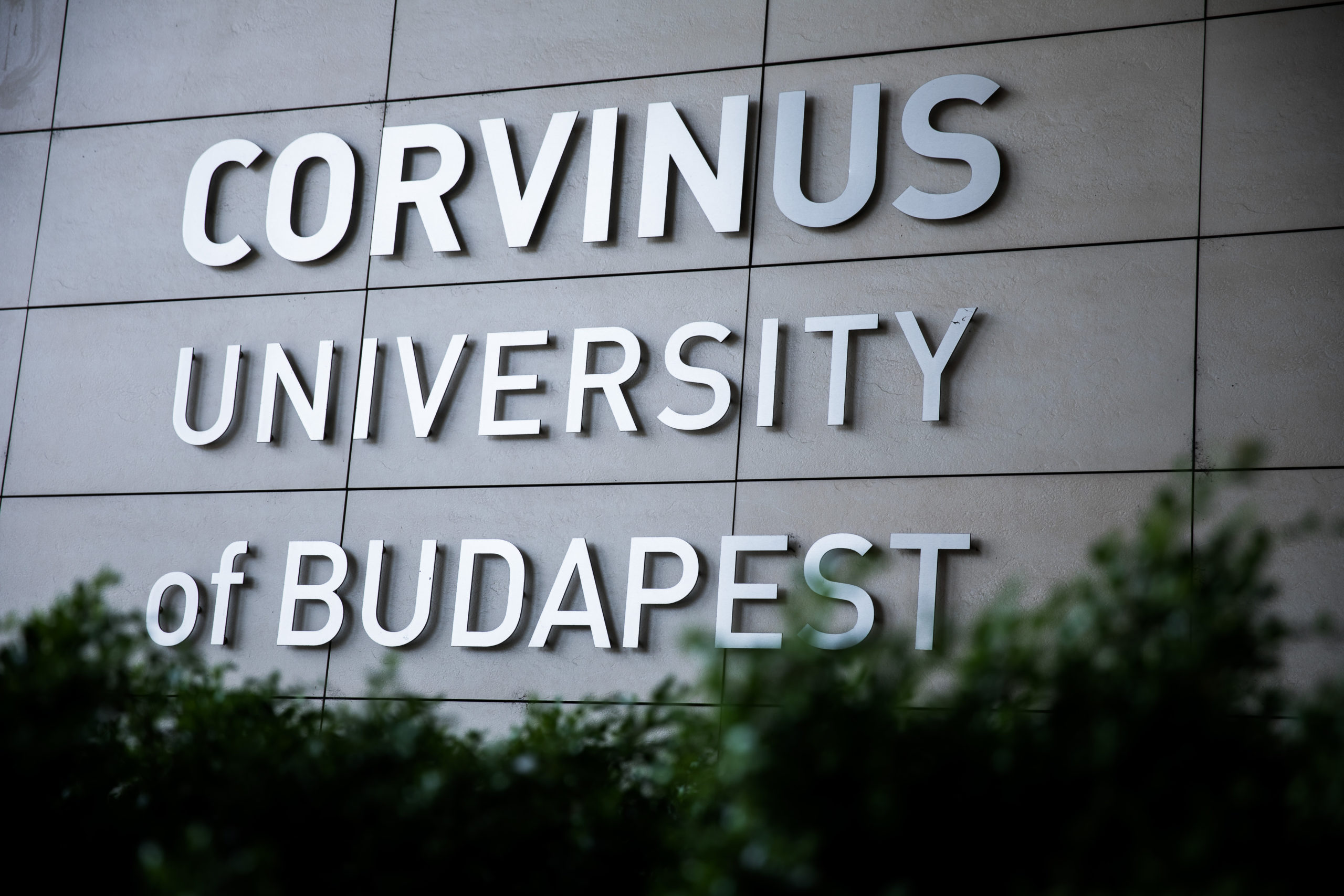 Corvinus-rektor: Ekkora reformot nem lehet úgy meglépni, hogy mindenkit megkérdezünk