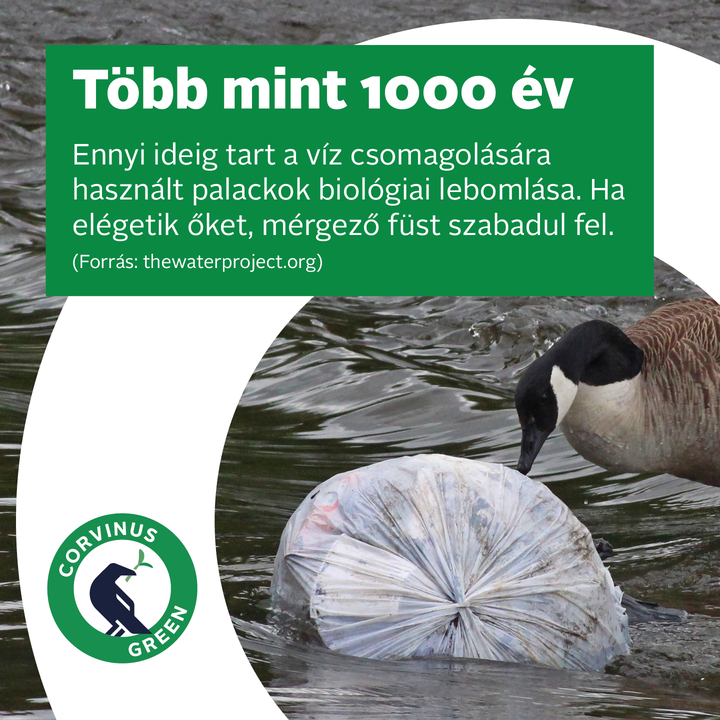 zold_kreativok_1000_ev