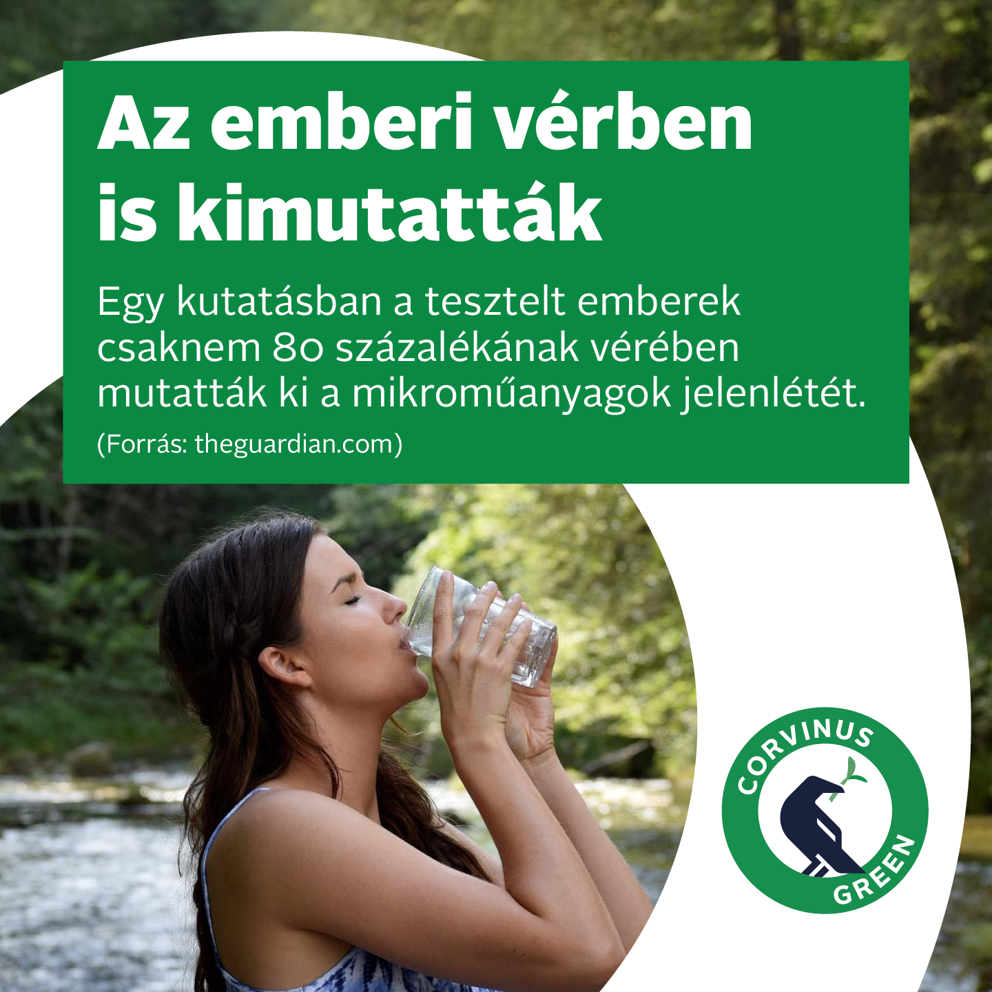 zold_kreativok_emberi_ver