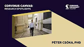 Research Spotlights: Péter Csóka, PhD