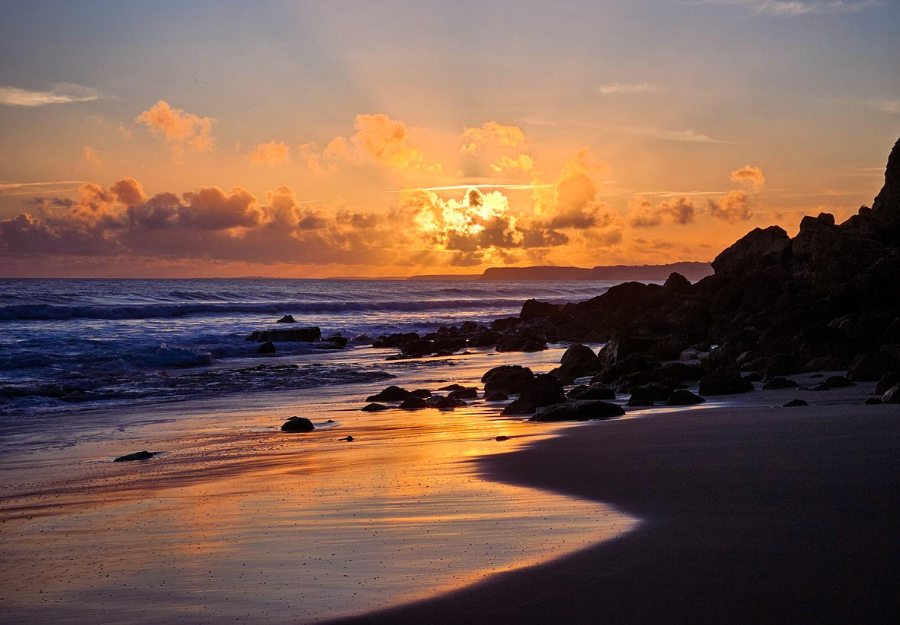 Corvinus University of Budapest
